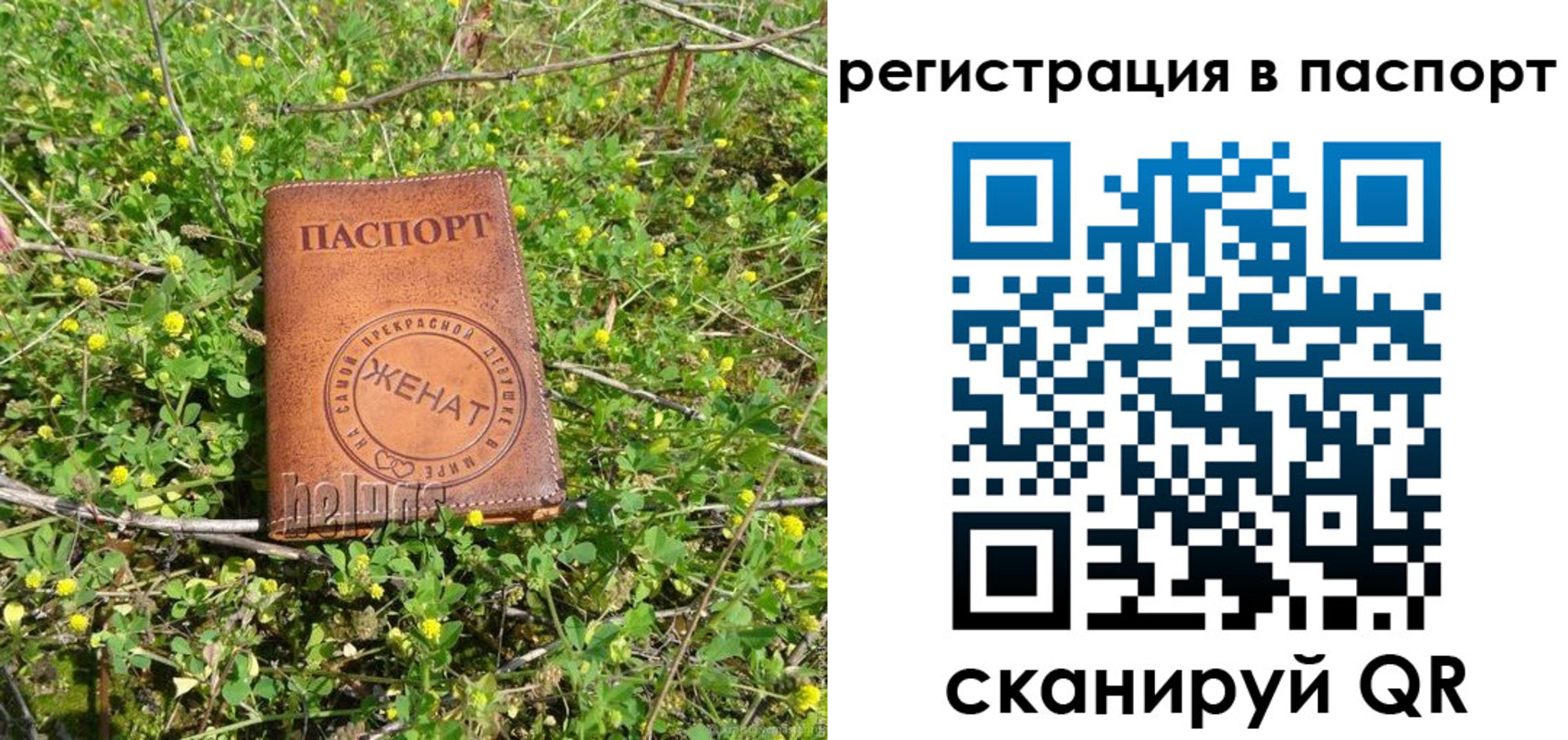прописка законно в Барабинске